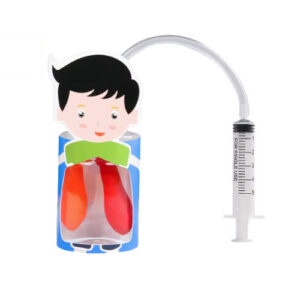 แบบจำลอง การหายใจ ของปอด DIY