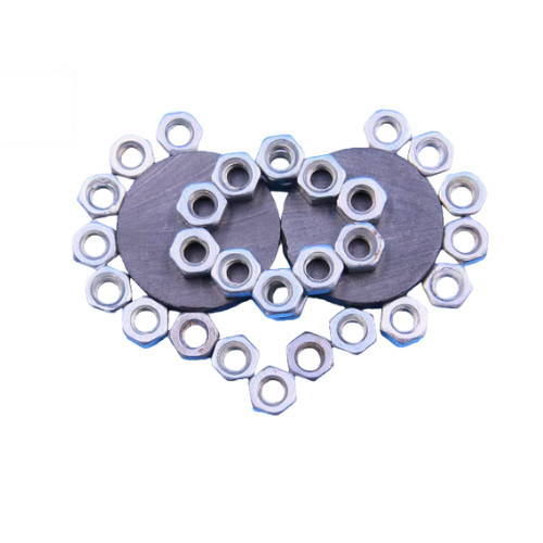 ต้นไม้แม่เหล็ก ขนาดเล็ก DIY - Image 3